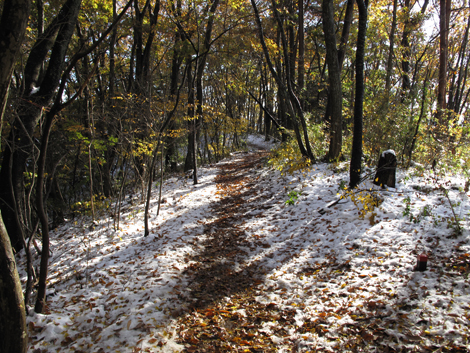 20161125hike (299)
